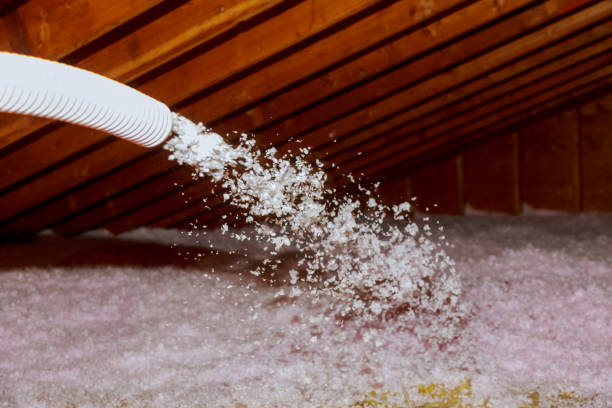 Best Types of Insulation in Hawthorn Woods, IL